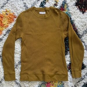 Everlane Golden Waffle Knit Sweater
